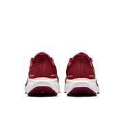 Florida State Nike Zoom Pegasus 41 Shoes